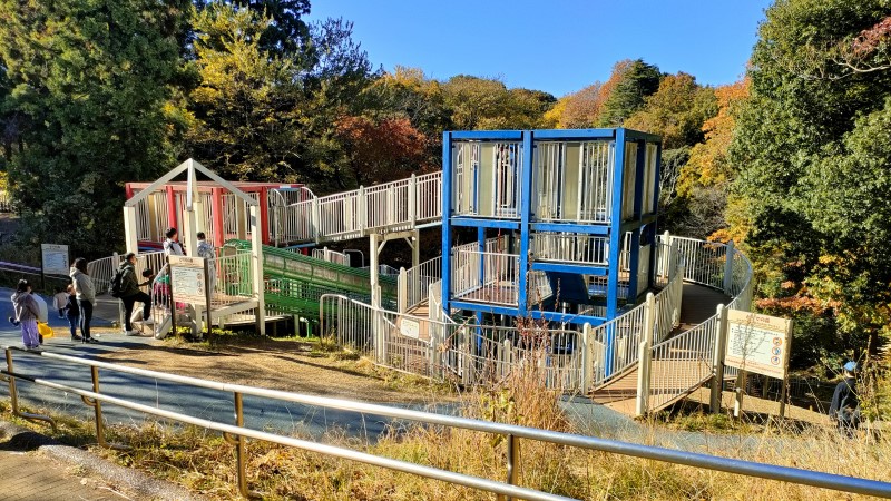 こども自然公園　上から見るとりでの森