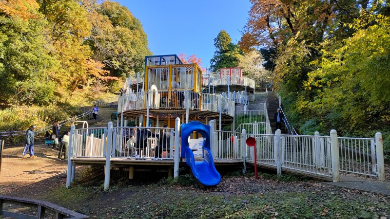 こども自然公園　下から見るとりでの森