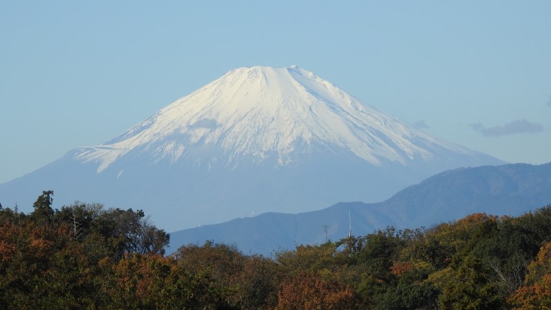 こども自然公園　桜山からの富士山